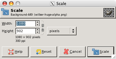 The Scaling Information dialog window