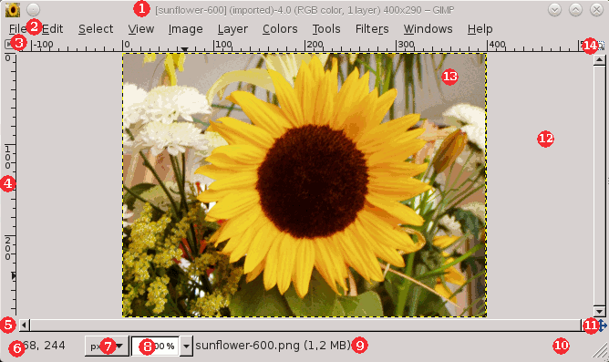 The Image Window in Multi-Window Mode