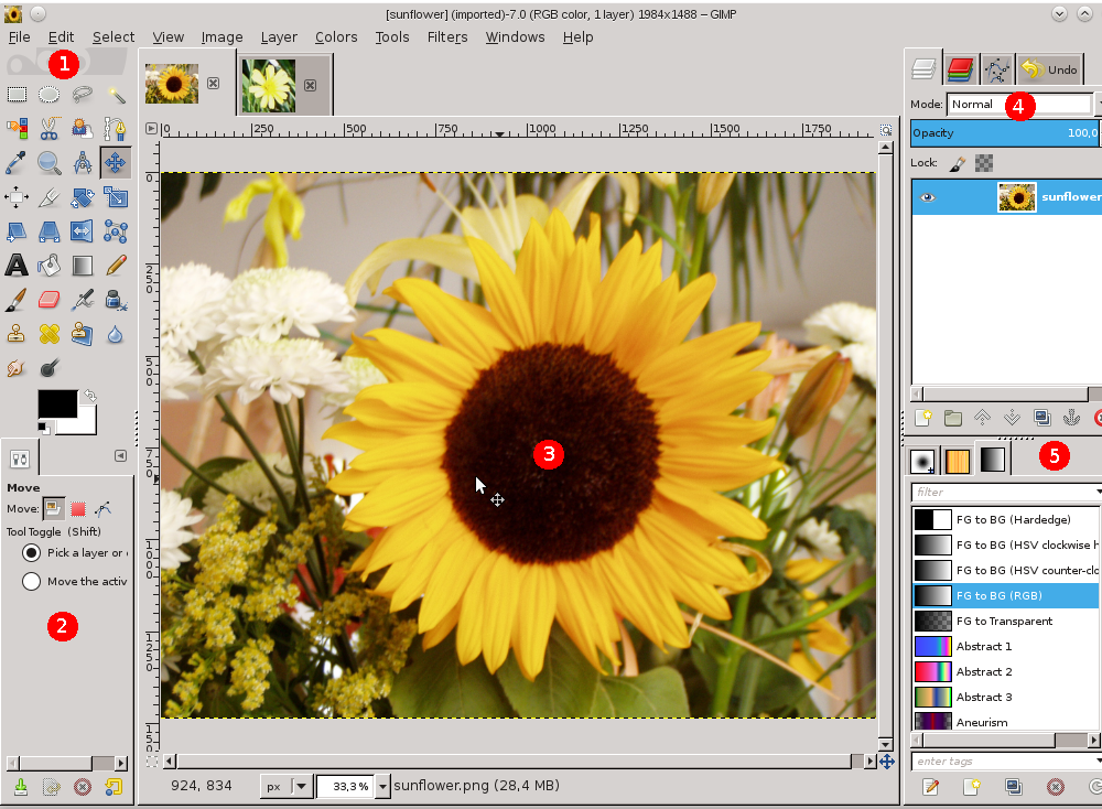 A screenshot illustrating the single-window mode.